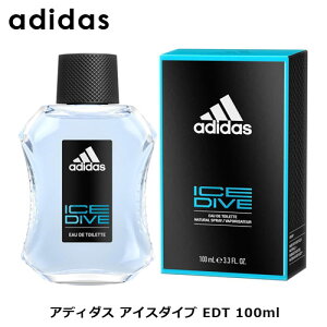 AfB_X ACX_Cu EDT SP 100ml b Y j jp j a j Ԃ 蕨 v[g Mtg   tOX I[hg VgX kn k O[ ~
