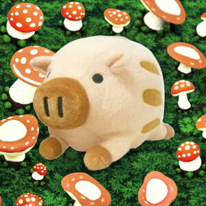 ʂ EVuU[Y x[W y j a j Ԃ 蕨 v[g Mtg 1000~ۂ 1000~|bL