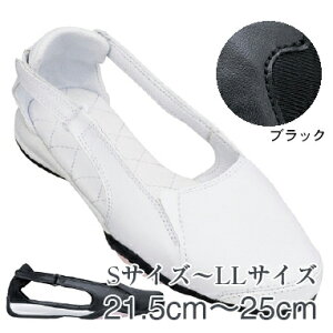 i[XV[Y i[XT_ TChz[hV[Y Ōt Ōw a@p t@[XgCg