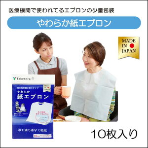 | HpGv 炩Gv t[@10 61cm×52cm 076374