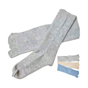 @wt2{w E[C@R-961@TCY@24`26cm@LTCY@ނ݁@LH@܁@@@䂤pPbg֑Ή@Y@amy05P05Dec15z