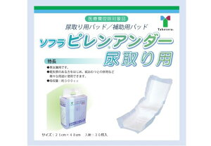 | \t s A_[ Ap t[ A pbh 21cm×48cm 30 jp