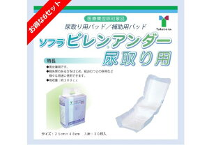 y6Zbg̔z| \t s A_[ Ap t[ A pbh 21cm×48cm 30× 6 jp