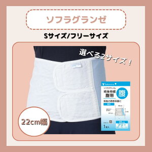 |Ձ@\tO[@22cm STCY/t[TCY pLk 040612 040610