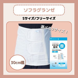 |Ձ@\tO[@30cm STCY/t[TCY pLk 040632 040630