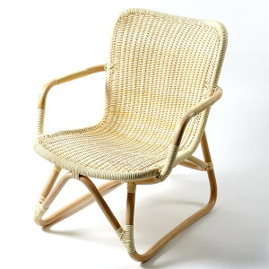 `H|i QA-100@A[`FA[   ֎q j ЃCGP[