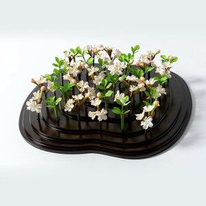 ߋ   Mtg `H|i LЉ ]˖ؖڍݐl` Flower Board Game it[{[hQ[j