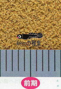 L[ ЂvNgьEp O 200g v@ AAꕔn揜 2_ڂ100~