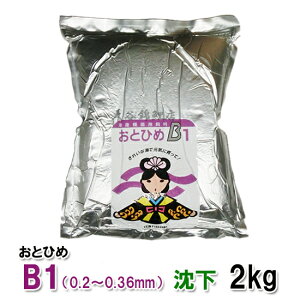 □アルミ袋入 日清丸紅飼料 おとひめB1 沈下 2kg 1袋送料無料 但、一部地域除 2点目より500円引
