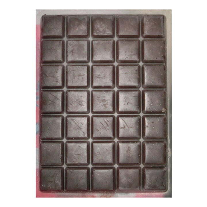 フレッシュ赤虫 冷凍赤虫 100g 1枚 新作通販