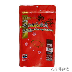 L[ Ђ p Fg 500g 1ܑ AAꕔn揜@2_ڂ500~