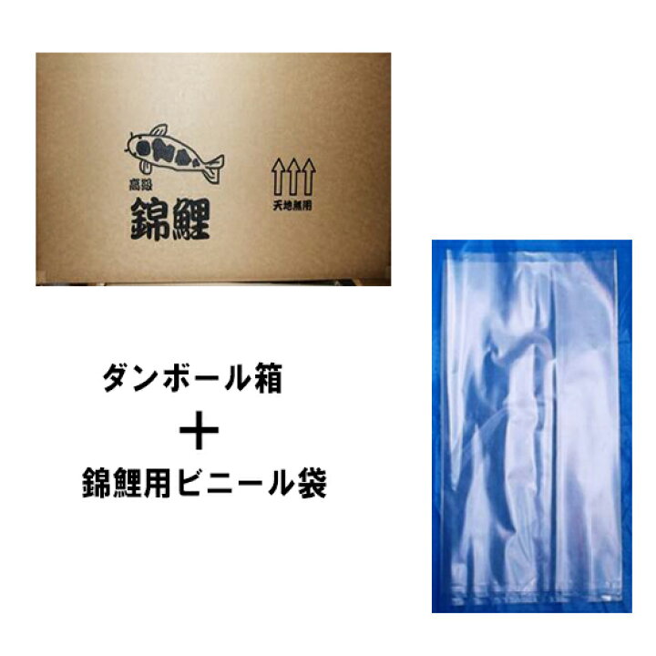 楽天市場 錦鯉 金魚等の輸送用ダンボール箱 650 260w 260h 5枚錦鯉用ビニール袋 0 08 410 10 2枚重 5枚 送料無料 但 一部地域除 大谷錦鯉店