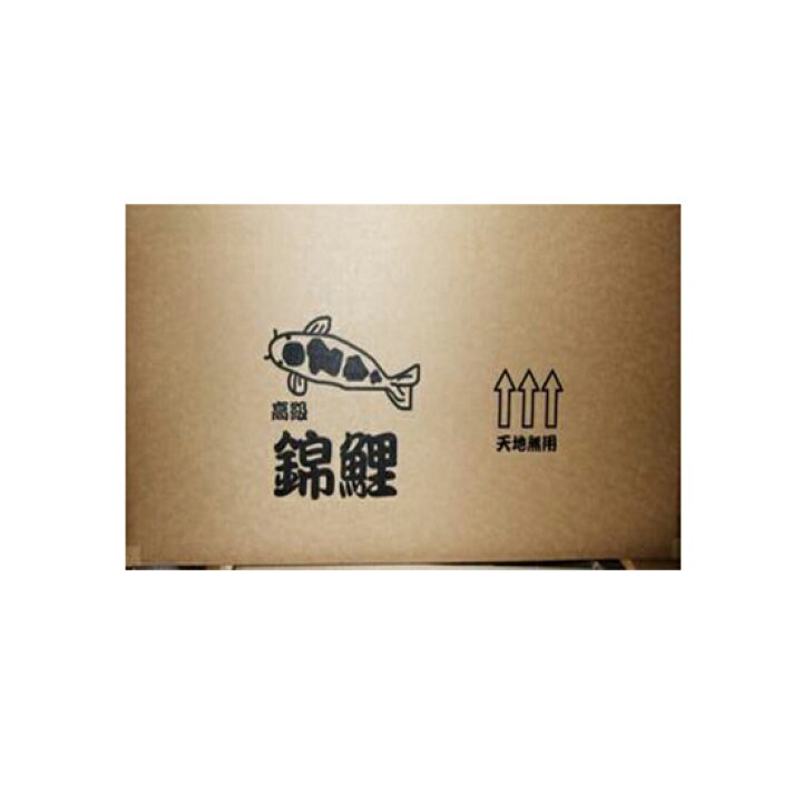 楽天市場 錦鯉 金魚等の輸送用ダンボール箱 650 260w 260h 枚 送料無料 但 一部地域除 大谷錦鯉店