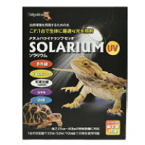 楽天市場】ソラリウム 50wの通販