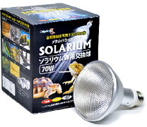 楽天市場】スドー ソラーレ uv70の通販