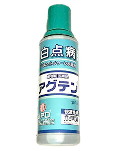 {i }JCgO[nt AOe 250mL @ AAꕔn揜 2_ڂ400~