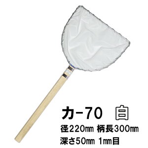 cX Iʖ J-70  a22cm 30cm 1mm EWEьpH^ʖԑ AAꕔn揜 2_ڂ300~