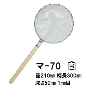 cX Iʖ }-70  a21cm 30cm 1mm EWEьpۋʖԑ AAꕔn揜 2_ڂ300~