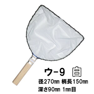 cX Iʖ E-9  a27cm 15cm 1mm EWEьpH^ʖ @ AAꕔn揜 2_ڂ300~