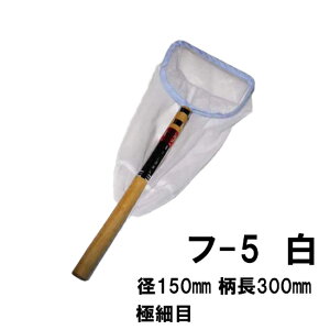 cX Iʖ t-5  a15cm 30cm ɍז EWEьptlbg AAꕔn揜 2_ڂ300~