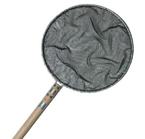 ۖ(ʖ) -11 a330 600  5`6.2mm@ AAꕔn揜@ꏤiw2_ڂ400~