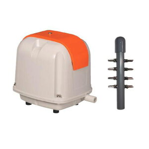 i GA[|vAP-60G{8Ǒ AAꕔn揜 2_ڂ400~