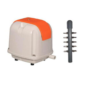 i GA[|vAP-60G{10Ǒ AAꕔn揜 2_ڂ400~