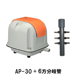 i GA[|v AP-30P{6Ǒ AAꕔn揜 2_ڂ400~