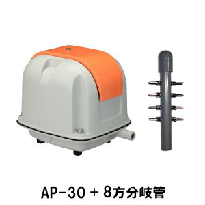 i GA[|v AP-30P{8Ǒ AAꕔn揜 2_ڂ400~