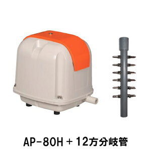 i GA[|vAP-80G{12Ǒ AAꕔn揜 2_ڂ400~