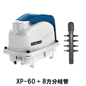 eNm GA[|v XP-60{8Ǒ AAꕔn揜 2_ڂ400~