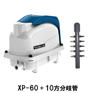 eNm GA[|v XP-60{10Ǒ AAꕔn揜 2_ڂ400~