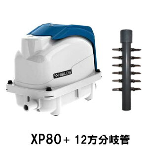 eNm GA[|v XP-80{12Ǒ 2_ڂ400~