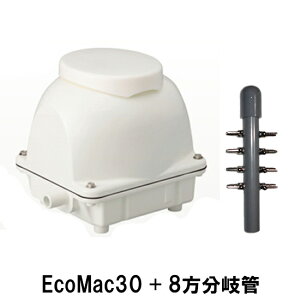 tWN[H(}J)GA[|vEcoMac30{8 2_ڂ400~