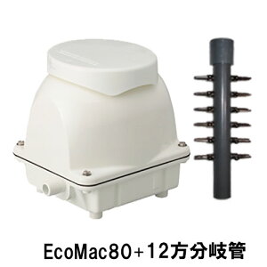 tWN[H(}J)GA[|vEcoMac80{12 2_ڂ400~