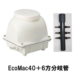tWN[H(}J)GA[|vEcoMac40{6Ǒ AAꕔn揜 2_ڂ400~