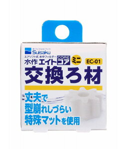  GCgRA ~j  EC-01 5  AAꕔn揜@2_ڂ300~
