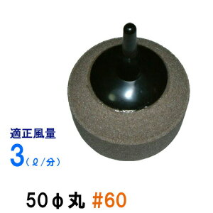 ԂGAXg[ 50(a) #60 1@ AAꕔn揜@2_ڂ300~