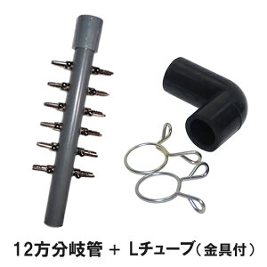 GA[`[up 12ǁ{L`[u(t) [ւł̔/Ews 2_ڂ200~