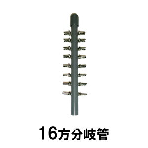 GA[`[up 16Ǒ [ւł̔/Ews 2_ڂ200~