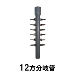 GA[`[up 12Ǒ [ւł̔/Ews 2_ڂ200~