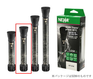 J~n^ NEWA l T[I[gq[^[ NTT 100W AAꕔn揜 2_ڂ300~