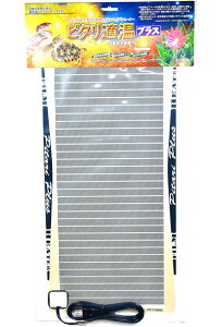 ���݂ǂ菤�� �s�^���K���v���X 4�� 20W������������ �A�A�ꕔ�n�揜 2�_�ڂ��100�~��