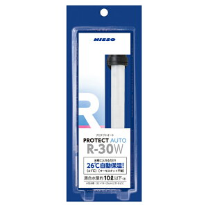 jb\[ veNgq[^[ R-30WKʖ10Lȉ @ AAꕔn揜@ 2_ڂ700~