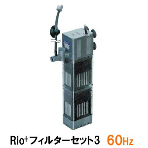 J~n^ I Rio+tB^[Zbg3 60Hz 2_ڂ500~