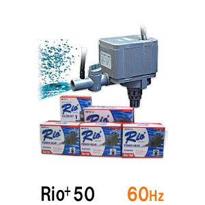 □カミハタ リオ Rio+50 60Hz 2点目より200円引