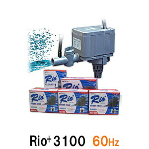 J~n^ I Rio+3100 60Hz 2_ڂ300~