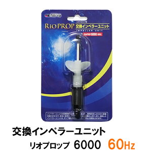 J~n^ Ivbv 6000 60Hzp Cy[jbg({p) 2_ڂ300~