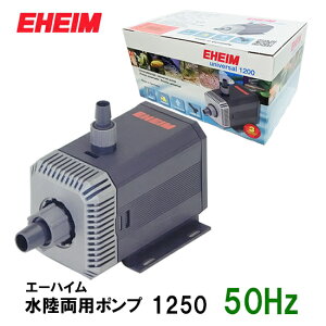 G[nC p|v 1250 50Hz WECp 2_ڂ300~