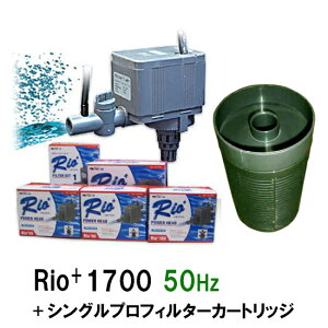 J~n^ I Rio+1700 50Hz{VOvtB^[J[gbW AAꕔn揜 2_ڂ600~